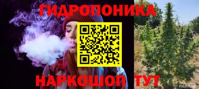 шишки Берёзовский