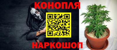 шишки Берёзовский
