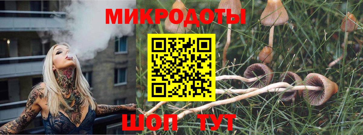 Псилоцибиновые грибы мицелий Каменск-Шахтинский